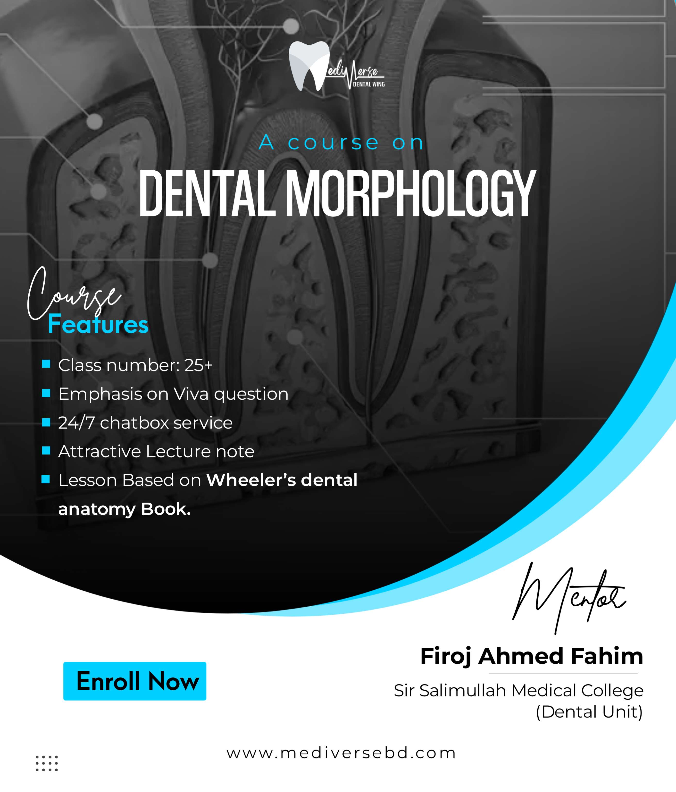 Dental Morphology