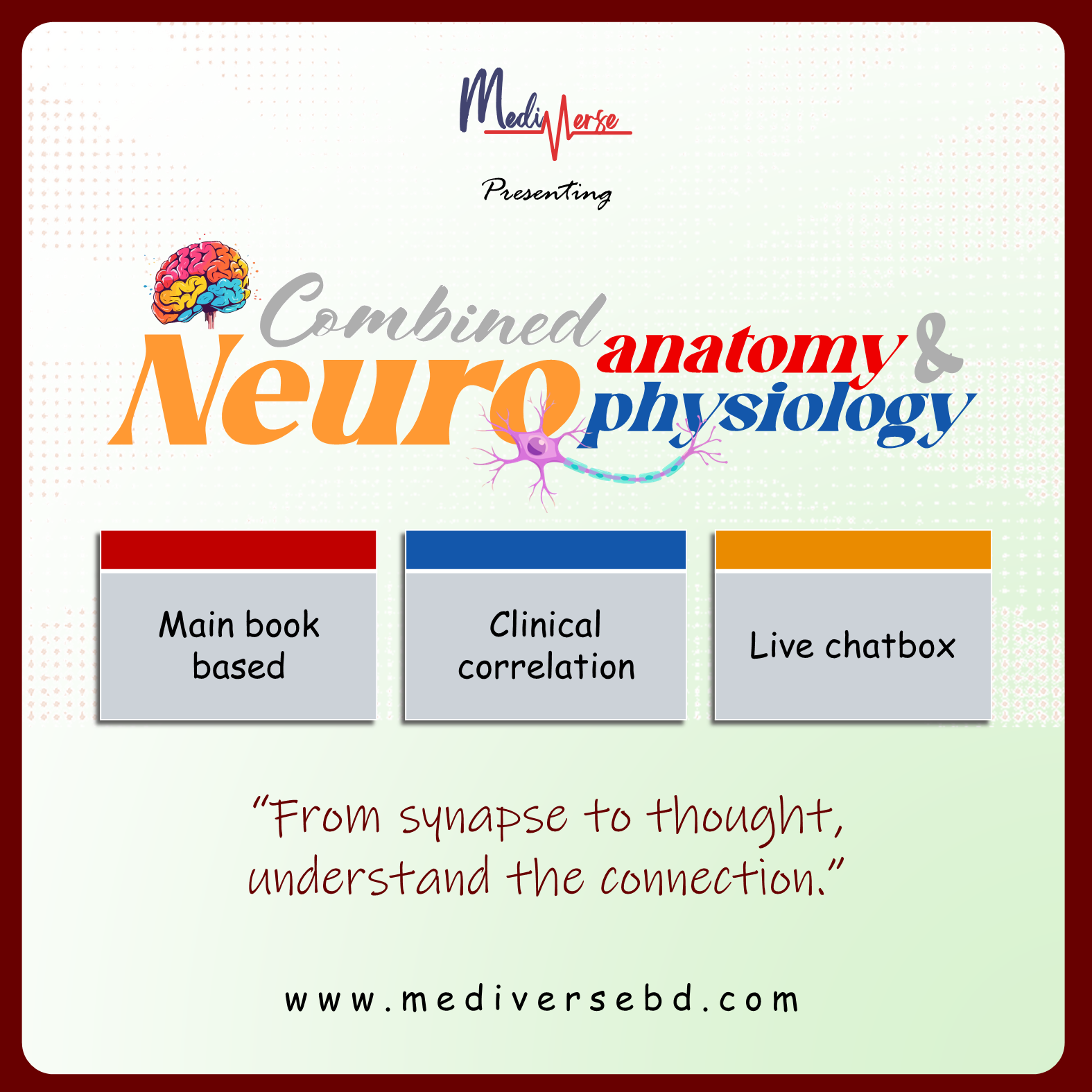 Neuroanatomy And Neurophysiology