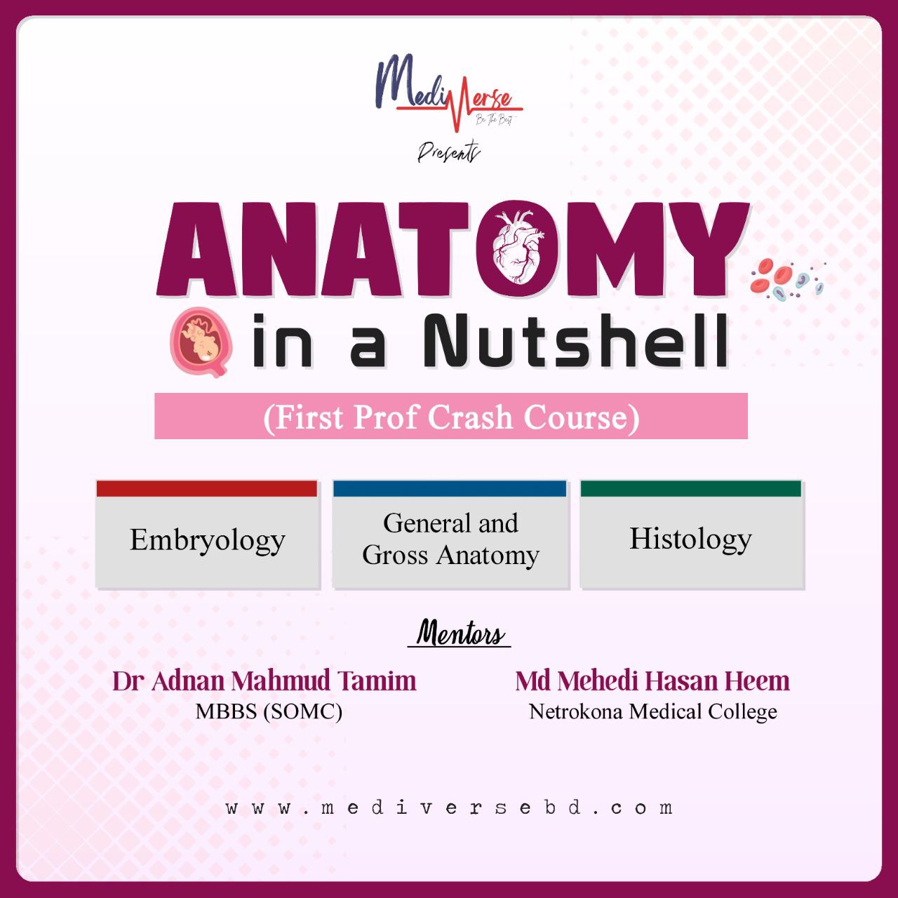 Anatomy in a Nutshell : 1st Prof Crash Course