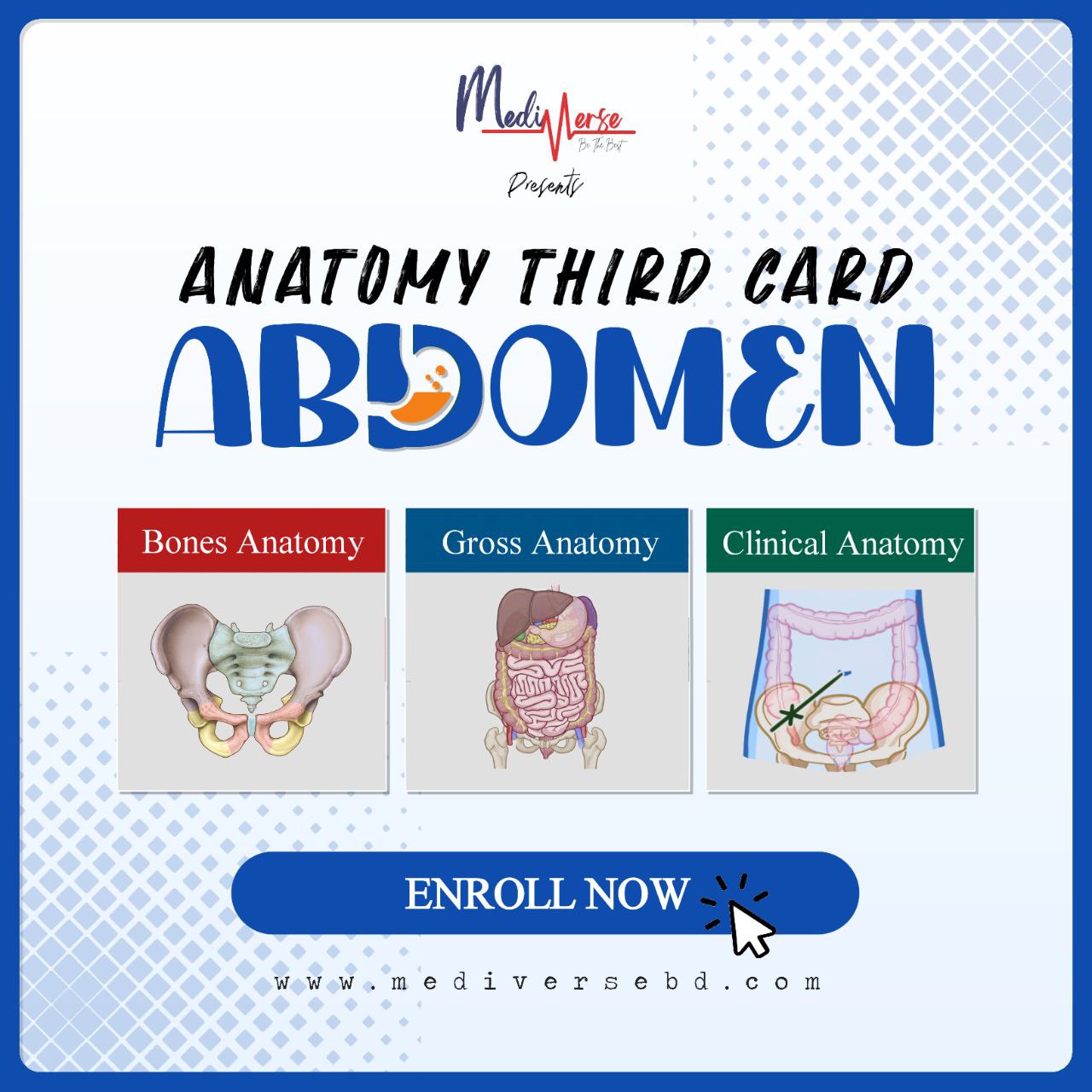 Abdomen Card