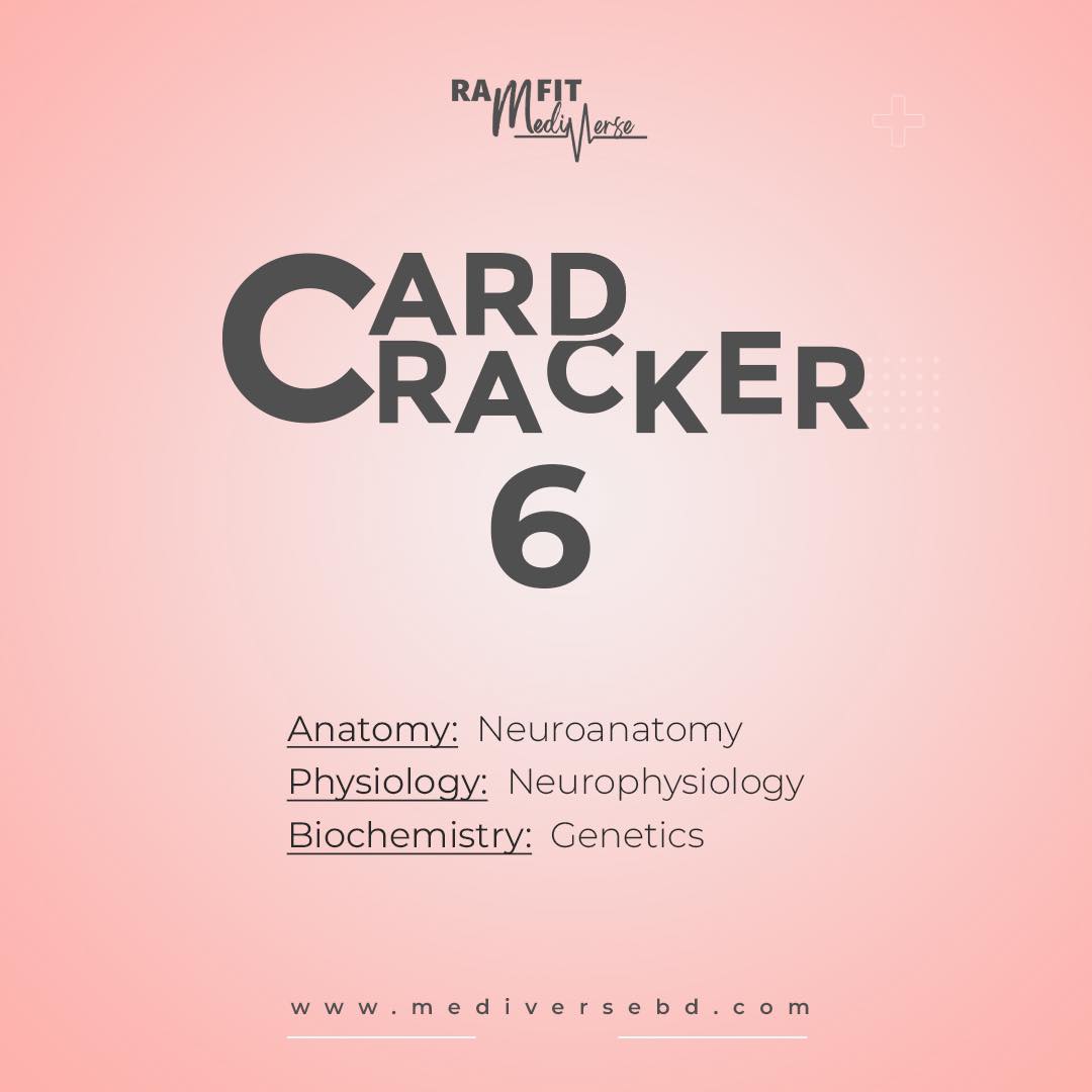 Card Cracker 6.0