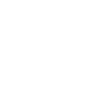stomach